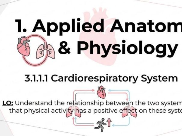 3.1.1.1 Cardiorespiratory System