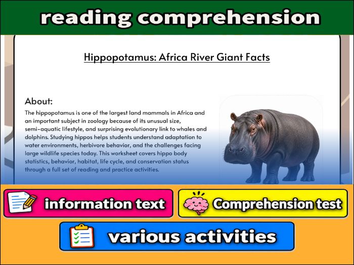 Hippopotamus: Africa River Giant Facts - zoology & Activities