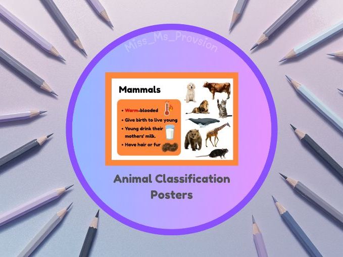 Animal Classification Posters - KS1 Science