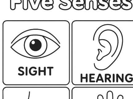 Five Senses - Human Body- Colouring Sheet