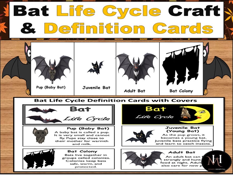 Bat Life Cycle Craft & Definition Cards | Fall Science Activity