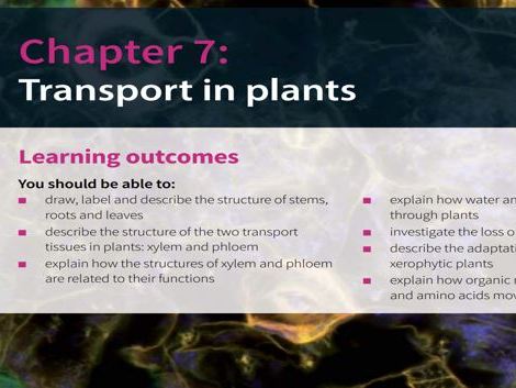 Transport in Plants