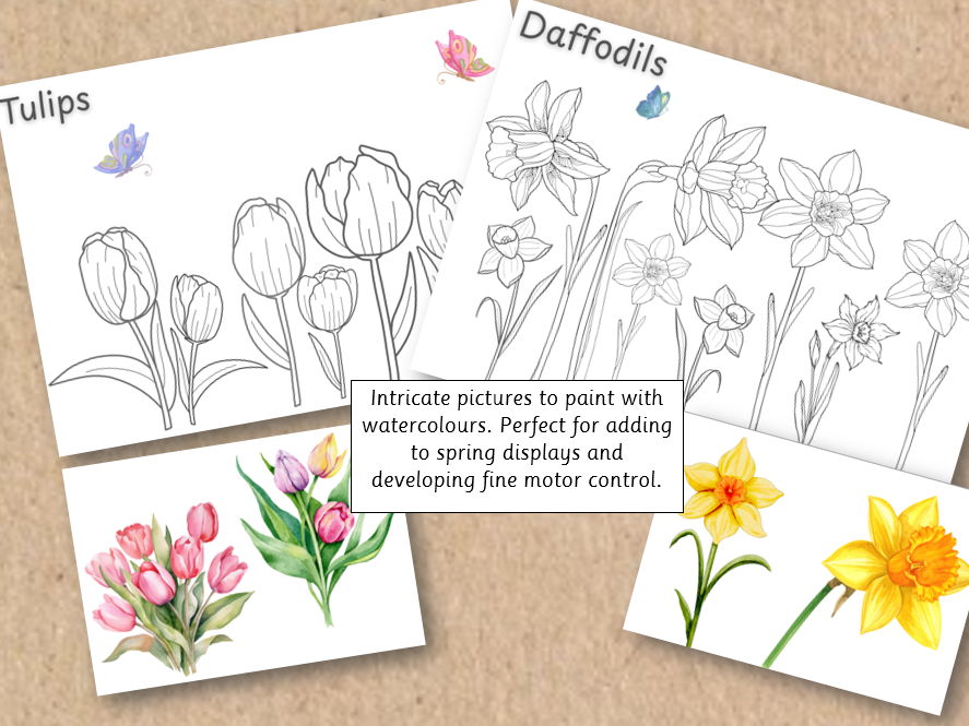 Tulip and Daffodil Painting