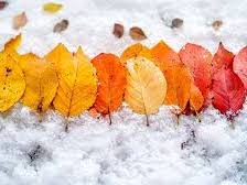 Fall and Winter Pack