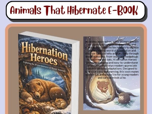 hibernation heroes Animals That Hibernate e-book Winter Sleep Adventures