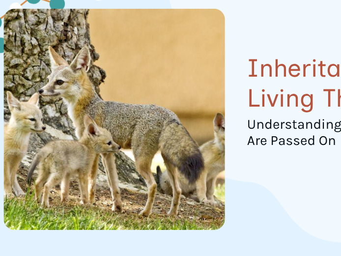 To recognise the inheritance of characteristics in plants and animals.