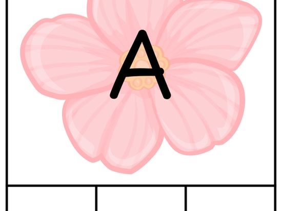 Continuous provision capital letter activity