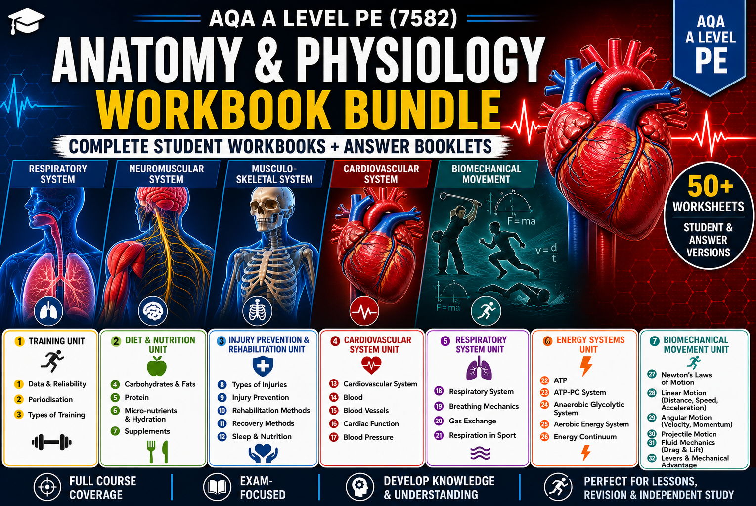 AQA A Level PE – Anatomy & Physiology | Complete Workbook Bundle (50+ Worksheets + Answer Booklets)
