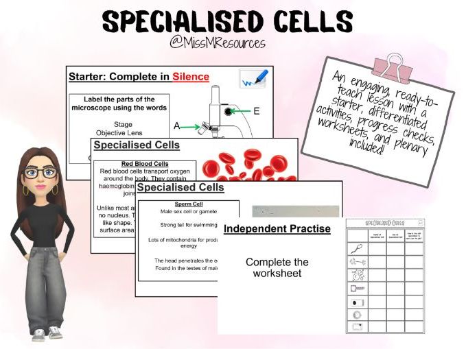 Specialised Cells KS3