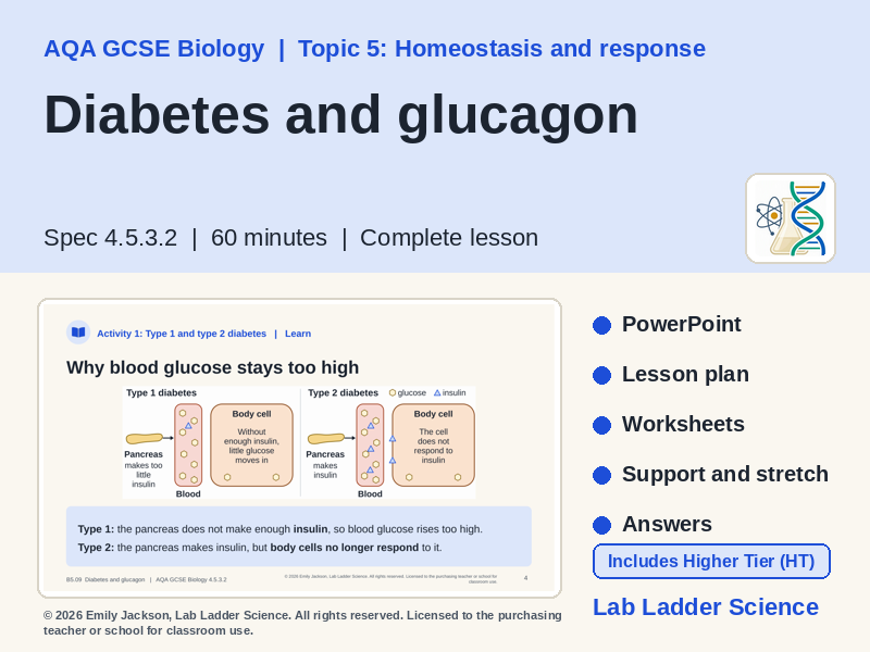 B5-09 Diabetes and Glucagon: AQA GCSE Biology