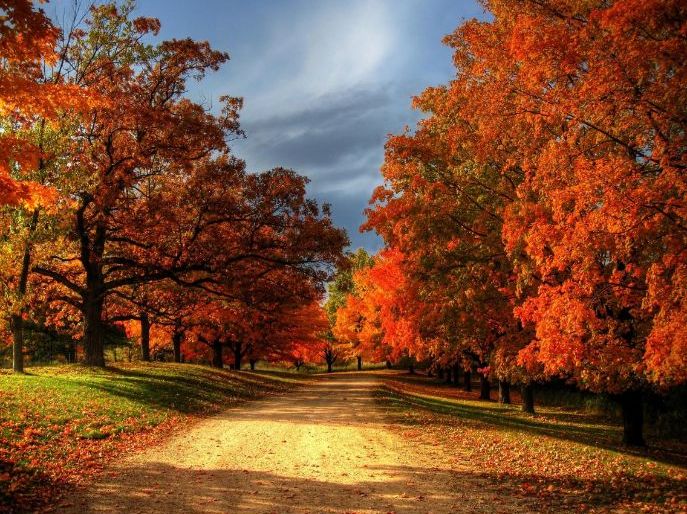 Autumnal Creative Writing | Teaching Resources