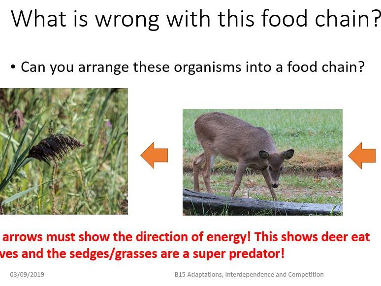 Importance of communities