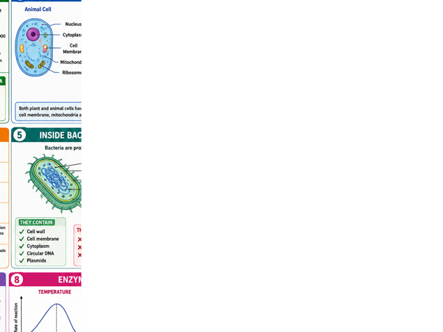 Edexcel Biology Knowledge Organisers
