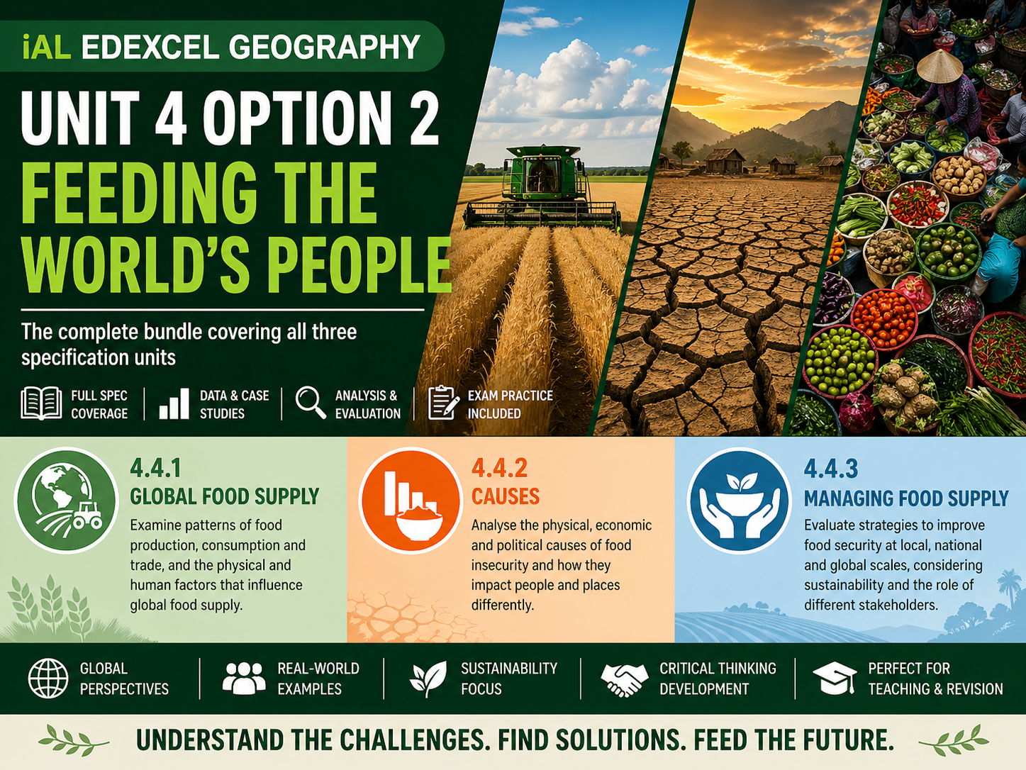 iAL Edexcel Geography - Unit 4 Option 2 Feeding the Worlds People  - BUNDLE