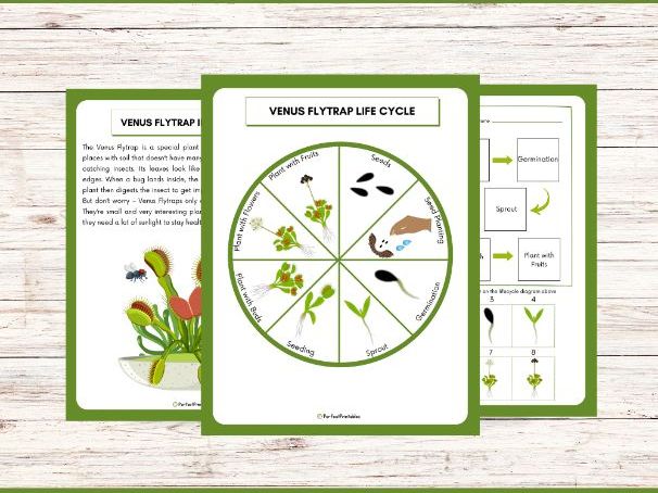 Life Cycle of a Venus Flytrap Worksheet- Plant Science Unit Study With Fun Facts