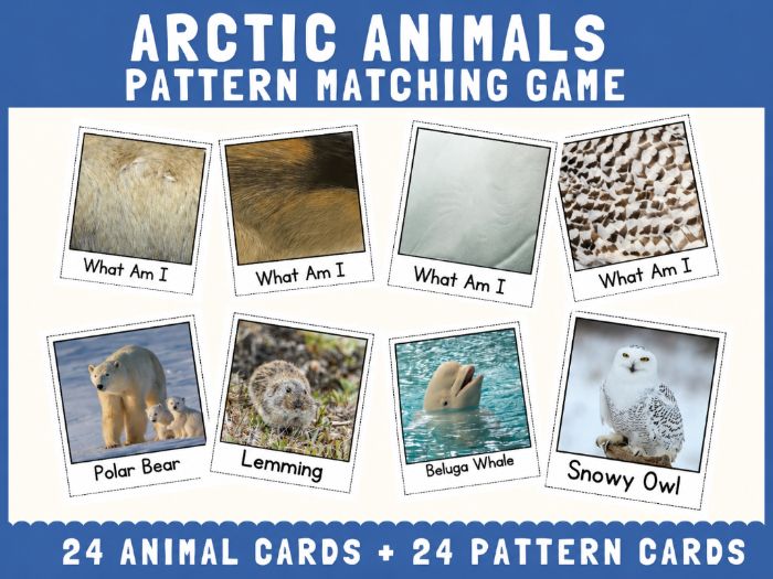 Arctic Animals Skin & Body Pattern Matching | Cut and Match Science Activity
