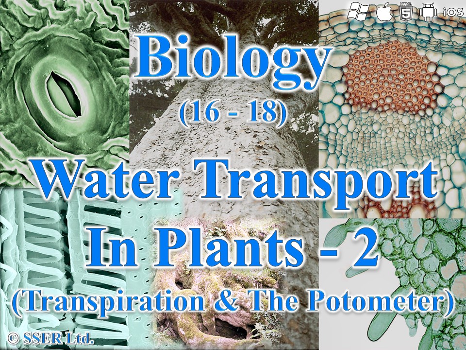 BioA_3.3.4.2 Water Transport in Plants - 2 (Transpiration & The Potometer)