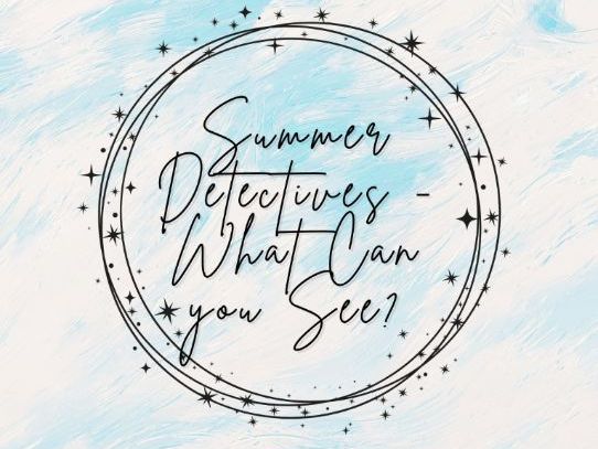 Summer Detectives - What Can You See?