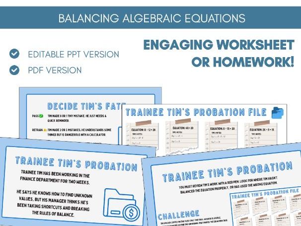 Balancing Algebraic Equations | Worksheet Homework Task | Algebra
