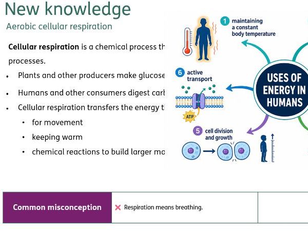 Aerobic and anaerobic respiration