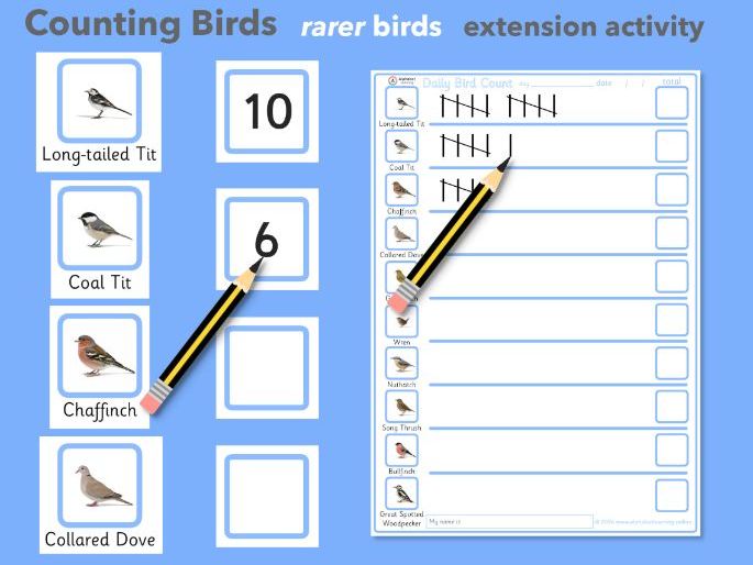 UK Rarer Garden Bird Tally Sheet / Daily Bird Count Activity