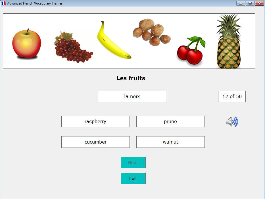 Advanced French Vocabulary Trainer (Windows  app)