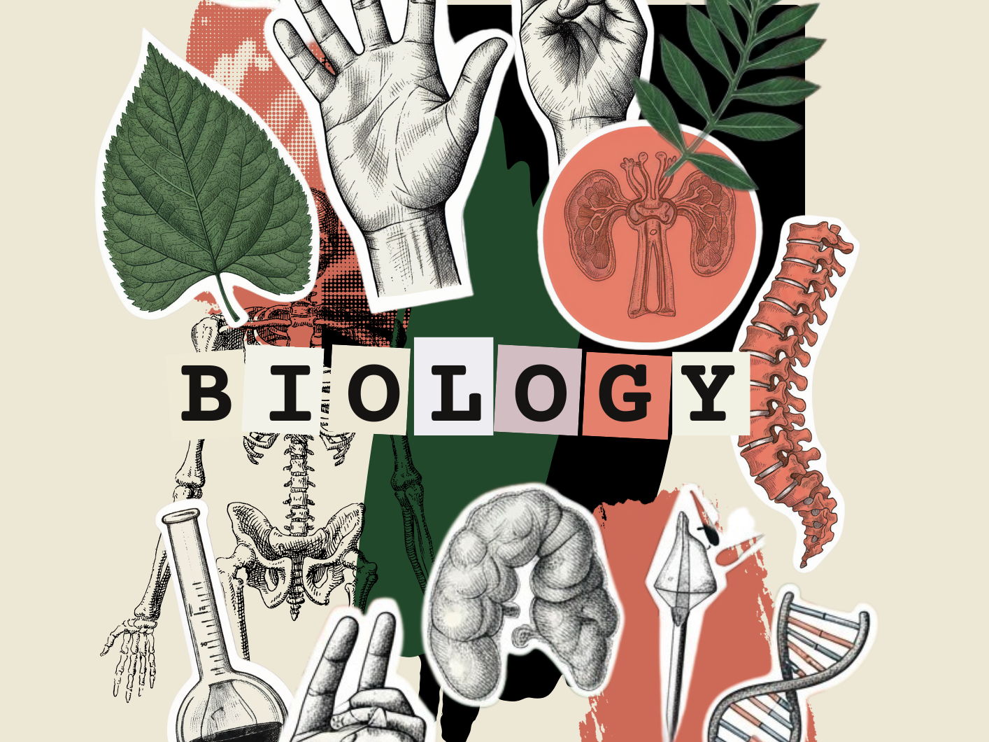 CIE A level Biology (9700) Complete Exam Preparation Bundle: All 5 Papers Teaching & Revision Guide