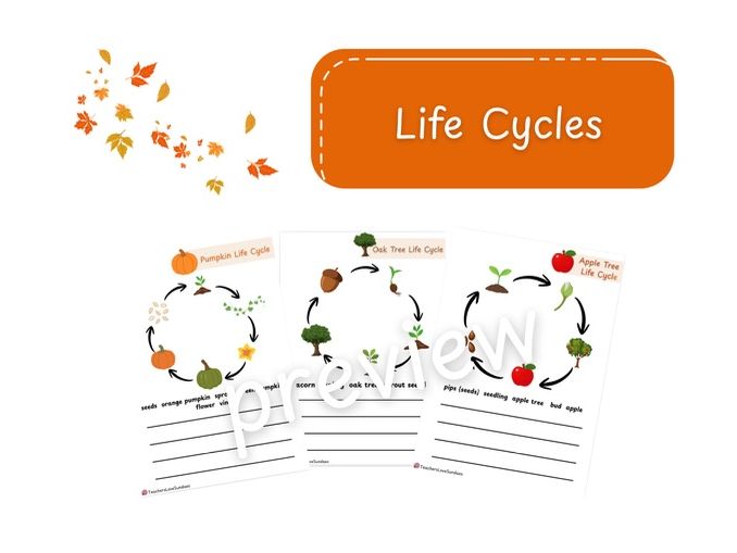 Autumn Plant Life Cycles