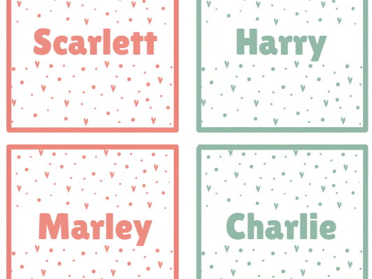 Sage & Blush Peg Labels | Editable Classroom Peg Tags | PowerPoint Resource