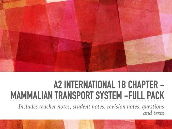 AS international 1B chapter-Mammalian transport systems - full pack