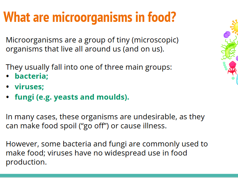 GCSE Food Prep & Nutrition: Positive Microorganisms in Food