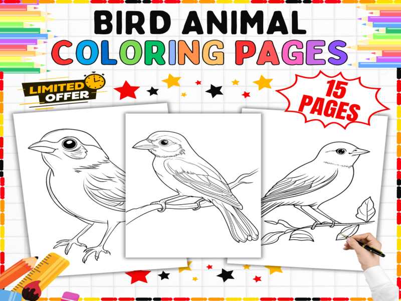 Bird Animal Colouring Pages | 15 Printable Wildlife Worksheets & Nature Study Art Activities