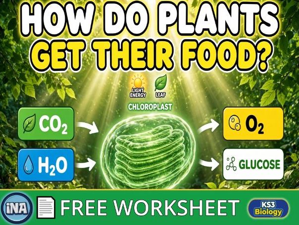 Plant Nutrition - FREE KS3 Biology Worksheet