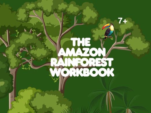 Worksheets from The Amazon Rainforest Workbook