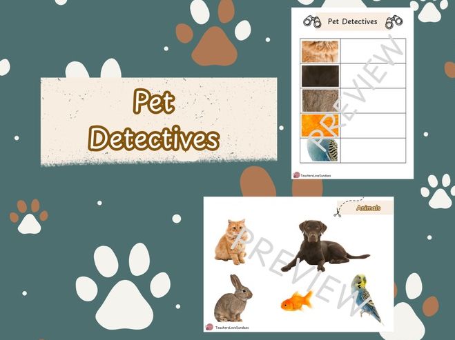 Pet Detectives