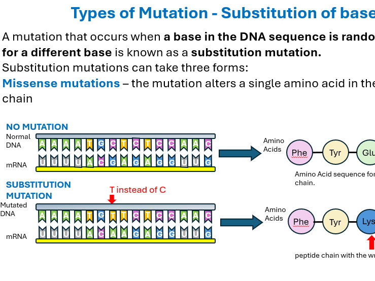 A Level Biology: DNA Mutations & ATP Structure Lesson (PPT, 3 Videos & Exam Questions)