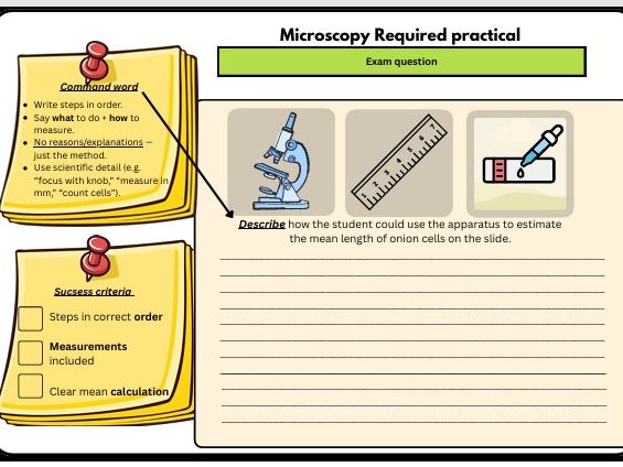 Free GCSE Biology Required Practical 6marker Worksheet: Microscopy (Onion Cells)