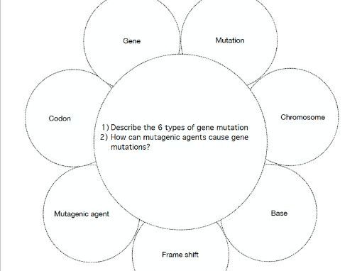 AQA A level Biology, Topic 8, Flower Booklets
