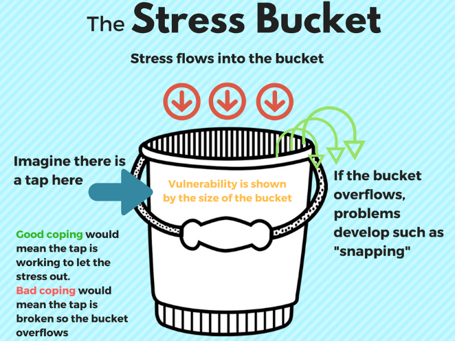 Pelin ster on LinkedIn Stress bucket varies from one person to another