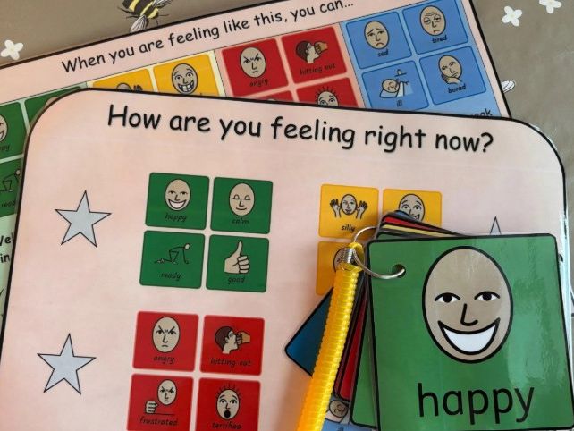 Zones of Regulation bundle