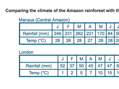 Maths Amazon rainforest data | Teaching Resources