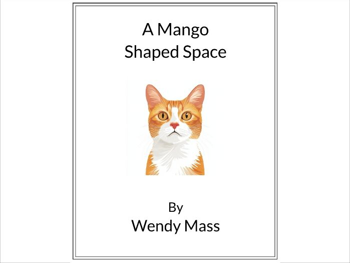 A Mango-Shaped Space by Wendy Mass - (Lesson Plan)