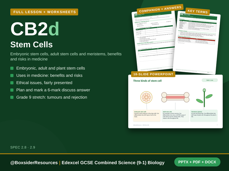 CB2d Stem Cells | Edexcel GCSE Combined Science (9-1) | Lesson + Worksheet