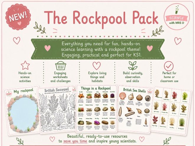 Rockpool pack