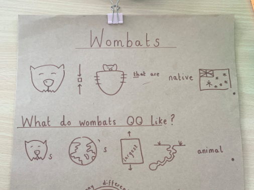 Talk for Writing - 'WOMBAT' - Information Report Y1-2