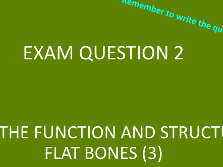 Function of the Skeleton - GCSE PE