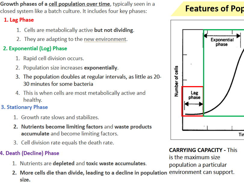 3.7.2.4 Population growth PART 2