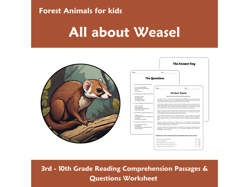 Weasel Math Worksheets All About Weasels - Reading Comprehension Passages & Questions ...