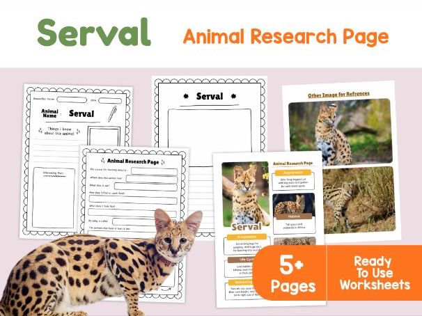 Serval Fact File | African Wild Cat Habitats and Adaptations