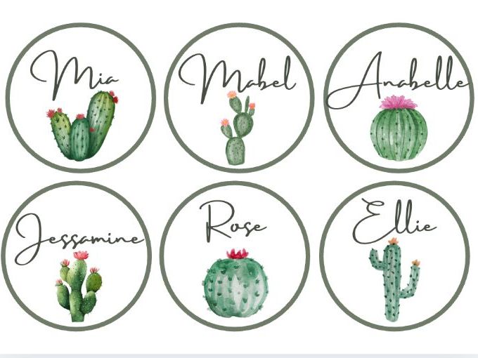 Editable Cactus Name Labels | Classroom Name Tags | Desk Labels | Cactus Classroom Theme